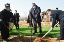 Лидер нации Эмомали Рахмон принял участие в церемонии возведения интенсивного сада «Боги миллии Вахдат»