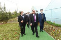 Президент страны Эмомали Рахмон посетил теплицу в Хозяйстве имени Сафара Джумъаева района Джалолиддини Балхи