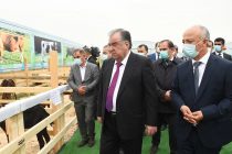 Президент страны Эмомали Рахмон ознакомился с ходом сельскохозяйственных работ в семеноводческом хозяйстве «Хосилот» района Кушониён