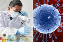 ВОЗ заявила, что британский штамм коронавируса обнаружили за неделю еще в семи странах