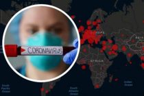 В мире за сутки выявлено более 449 тыс. случаев заражения коронавирусом