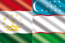В Джизаке состоялась встреча рабочих групп правительственных делегаций Таджикистана и Узбекистана в Совместной демаркационной комиссии