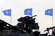 В Германии заявили, что вопрос вступления Украины в НАТО не стоит на повестке дня