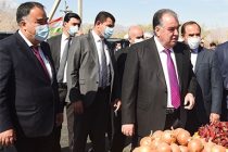 Президент страны Эмомали Рахмон дал старт закладке интенсивного сада в Ассоциации дехканских хозяйств сельского джамоата Ворух, посетил выставку сельскохозяйственной продукции и народных ремёсел