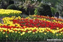 «ПРАЗДНИК ТЮЛЬПАНОВ». С целью проведения фестиваля на высоком уровне в Душанбе посажено около 6 миллионов тюльпанов