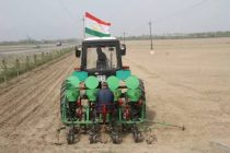 Специалисты  рассказали, как получить  обильный урожай хлопка в Таджикистане