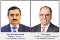 МИД Таджикистана и Германии обсудили план совместных действий по реализации региональной инициативы «Зеленая Центральная Азия»
