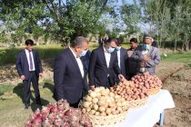 Премьер-министр страны Кохир Расулзода ознакомился с ходом реализации проекта строительства автомобильной дороги Душанбе-Бохтар и деятельностью аграрных хозяйств в Хатлонской области