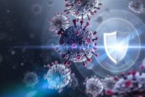 Ученые: иммунитет к коронавирусу у переболевших Covid-19 может быть пожизненным