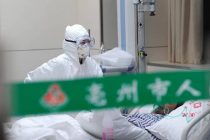 В Китае выявили случай заражения человека штаммом птичьего гриппа H10N3