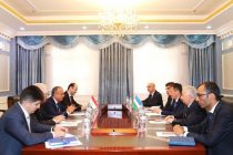 Встреча заместителя министра иностранных дел Таджикистана с директором Международного института Центральной Азии Узбекистана