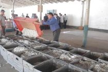 В Согдийской области собрано около 170 тонн кокона