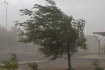 ВНИМАНИЕ! В ряде регионов Таджикистана в ближайшие дни ожидается усиление ветра и возникновение пыльной бури