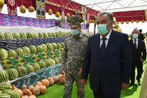 Президент Таджикистана Эмомали Рахмон посетил подсобное хозяйство отдела Министерства внутренних дел Джаббор Расуловского района