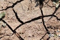 ООН сообщила, что засухи стали причиной смерти 650 тыс. человек за последние 50 лет