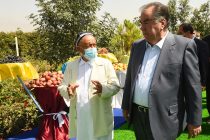 Лидер нации Эмомали Рахмон посетил дехканское виноградарское хозяйство «Ходжи Негмат» в Турсунзаде
