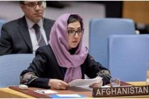 Посол Афганистана в США считает, что политического урегулирования в стране может не быть