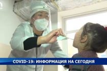 Статистика по COVID-19 в  Кыргызстане за сутки: 897 новых случаев, 9 летальных исходов