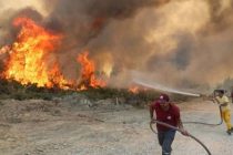 Террористическая организация взяла на себя ответственность за пожары в Турции