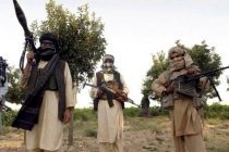 «Некоторые хотят проблем»: Талибы объяснили, зачем отправили сотни бойцов в Панджшер