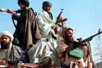 Движение «Талибан»* предложило коллегам из «Аль-Каиды»* создать в Афганистане «колыбель джихада»