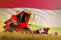 В Таджикистане собрано свыше 800,7 тыс. тонн зерновых