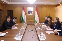 В Душанбе обсудили приоритетные направления для инвестирования