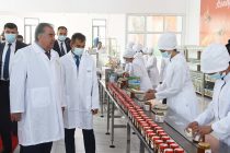 Глава государства Эмомали Рахмон в Ховалингском районе сдал в эксплуатацию цех по переработке и упаковке меда