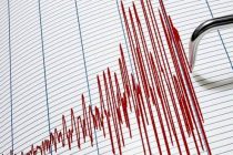 ДЕНЬ В ИСТОРИИ. Ровно шесть лет назад произошло Гиндукушское землетрясение