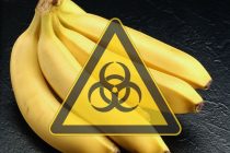 Китайские ученые назвали фрукт со смертельной радиацией