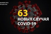 Статистика по COVID-19 в Кыргызстане за сутки: 63 новых случая, 2 летальных исхода