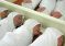 Жительница Саудовской Аравии родила пять пар близнецов за один прием