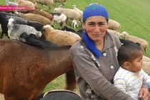 В Казахстане около половины скота находится в  частных хозяйствах, а в Таджикистана – целых 80 — 90%