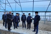 Заместитель Премьер-министра Таджикистана Сулаймон Зиёзода посетил Куляб для ознакомления с состоянием сельскохозяйственной отрасли