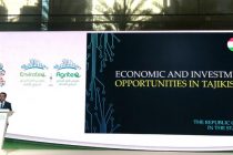 Презентация агропромышленных возможностей Таджикистана на Международной выставке в Дохе