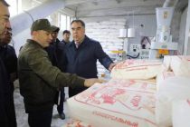 На складах крупных предприятий по производству муки Согдийской области имеются необходимые запасы зерна