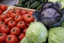 Таджикистан и  Беларусь намерены нарастить торговлю сельхозпродукцией