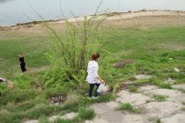 Коллективные хашары и инициативы «Чистота берега» ещё больше украшают город Худжанд