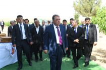 Глава государства Эмомали Рахмон в Дангаринском районе посетил производственный кооператив «Сомонджон»