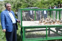 Лидер нации Эмомали Рахмон посетил туристические зоны Дангаринского района