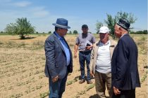 Заместитель Премьер-министра Таджикистана ознакомился с состоянием сельского хозяйства в районах Носири Хусрав, Кубодиён и Шахритус