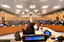 Таджикистан и Нидерланды провели брифинг, посвященный Водной конференции ООН 2023 года в Нью-Йорке