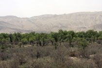 В Закон Республики Таджикистан «Об охране окружающей среды» внесены изменения