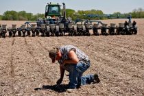 Фермеры в США в разгар посевной столкнулись с дефицитом удобрений