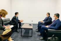 Таджикистан и Япония обсудили необходимость установления побратимских отношений