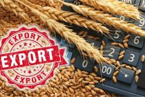 Казахстан планирует ввести временные ограничения на экспорт зерна и муки
