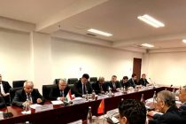 В Душанбе состоялась очередная встреча топографических рабочих групп Таджикистана и Кыргызстана