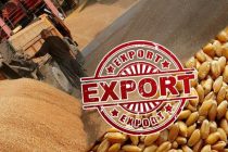 Казахстан намерен ограничить экспорт зерна и муки  с целью защиты внутреннего рынка. Комментарий  корреспондента НИАТ «Ховар»