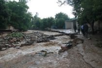 Сход селей в Аште: разрушено 7 мостов, размыты дороги, урон нанесён 32-м приусадебным участкам