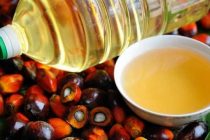 Дефицит пальмового масла может привести к продовольственному апокалипсису